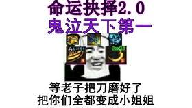 龙猫爆料宝哥视频大全最新,揭秘宝哥最新动态与精彩瞬间