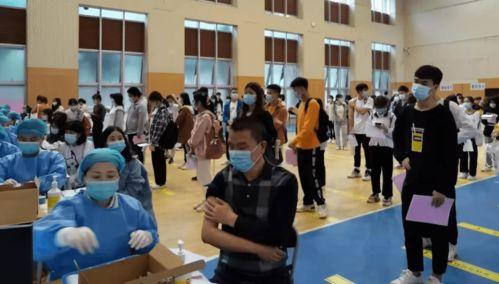 张细伦最新爆料消息视频,揭秘事件背后惊人真相