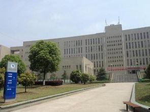 武昌职业学院爆料事件最新,揭秘校园内幕引发社会关注