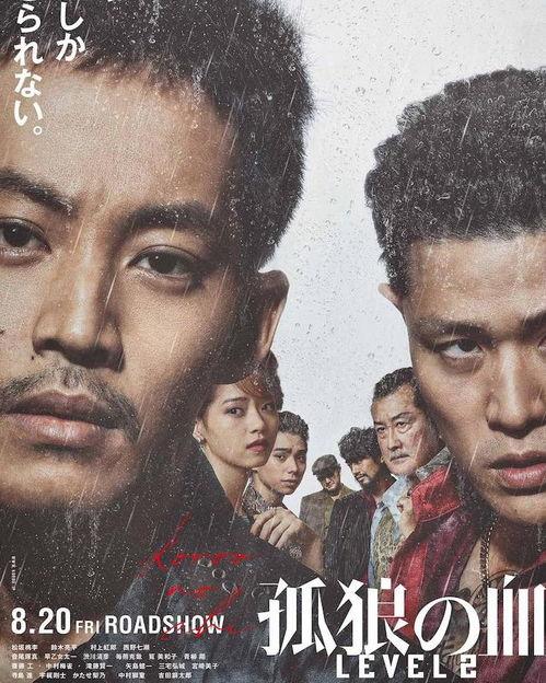 孤狼之血电影在线观看,孤胆英雄的复仇之路，在线观看震撼呈现