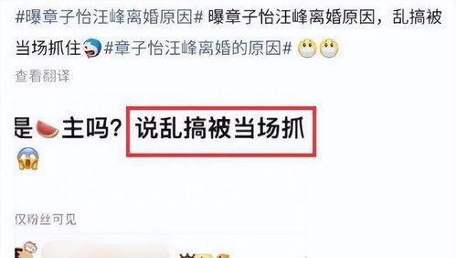 刘大锤爆料猛料最新,娱乐圈惊天猛料大揭秘！